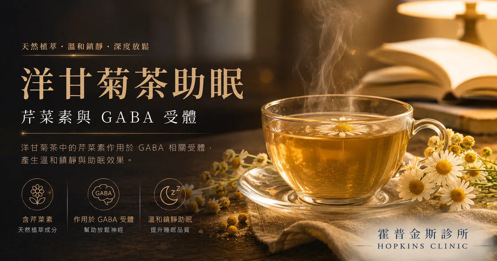 洋甘菊茶中的芹菜素作用於 GABA 相關受體，產生溫和鎮靜與助眠效果