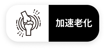 加速老化