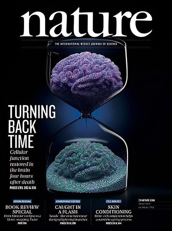 《自然》雜誌上發表的研究，揭示了睡眠如何幫助我們的大腦清除在清醒期間累積的代謝廢物。