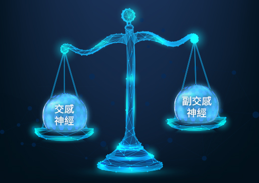 交感神經＆副交感神經