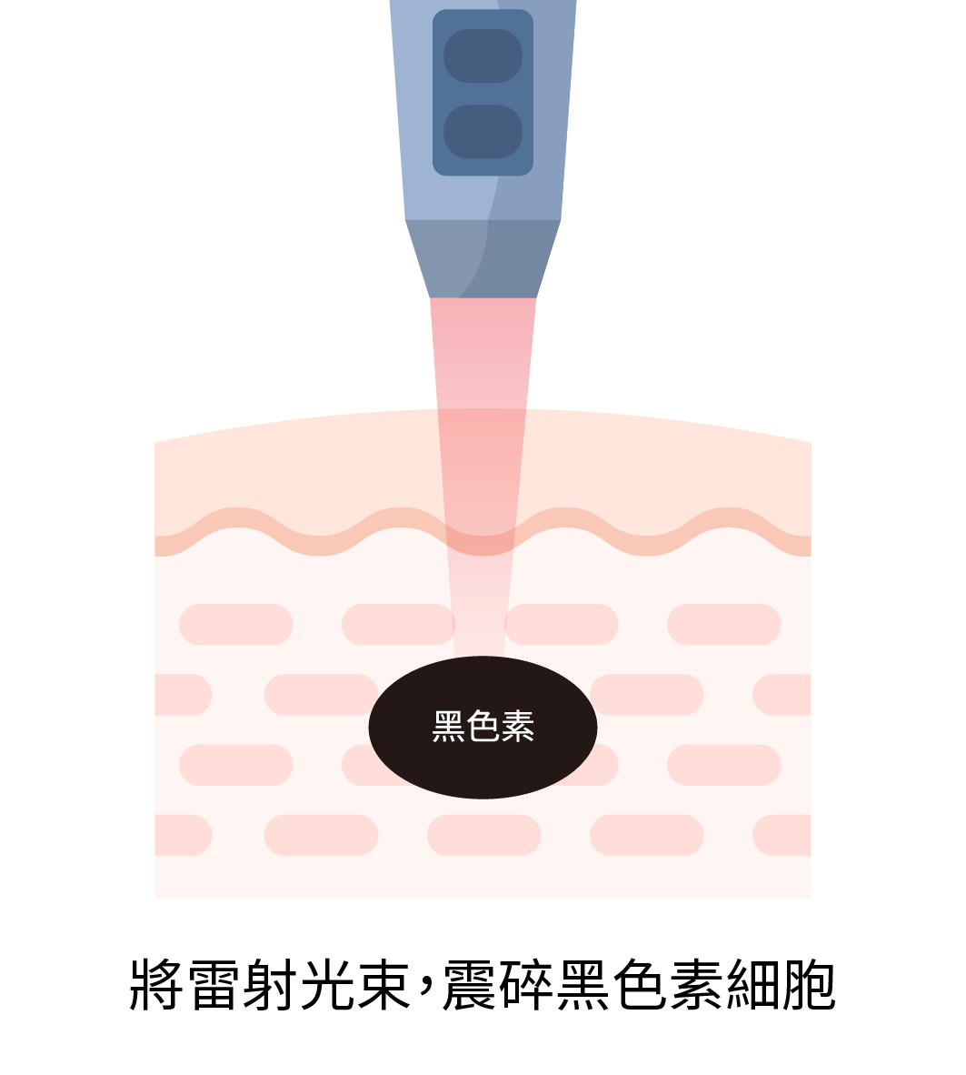 站用圖 77