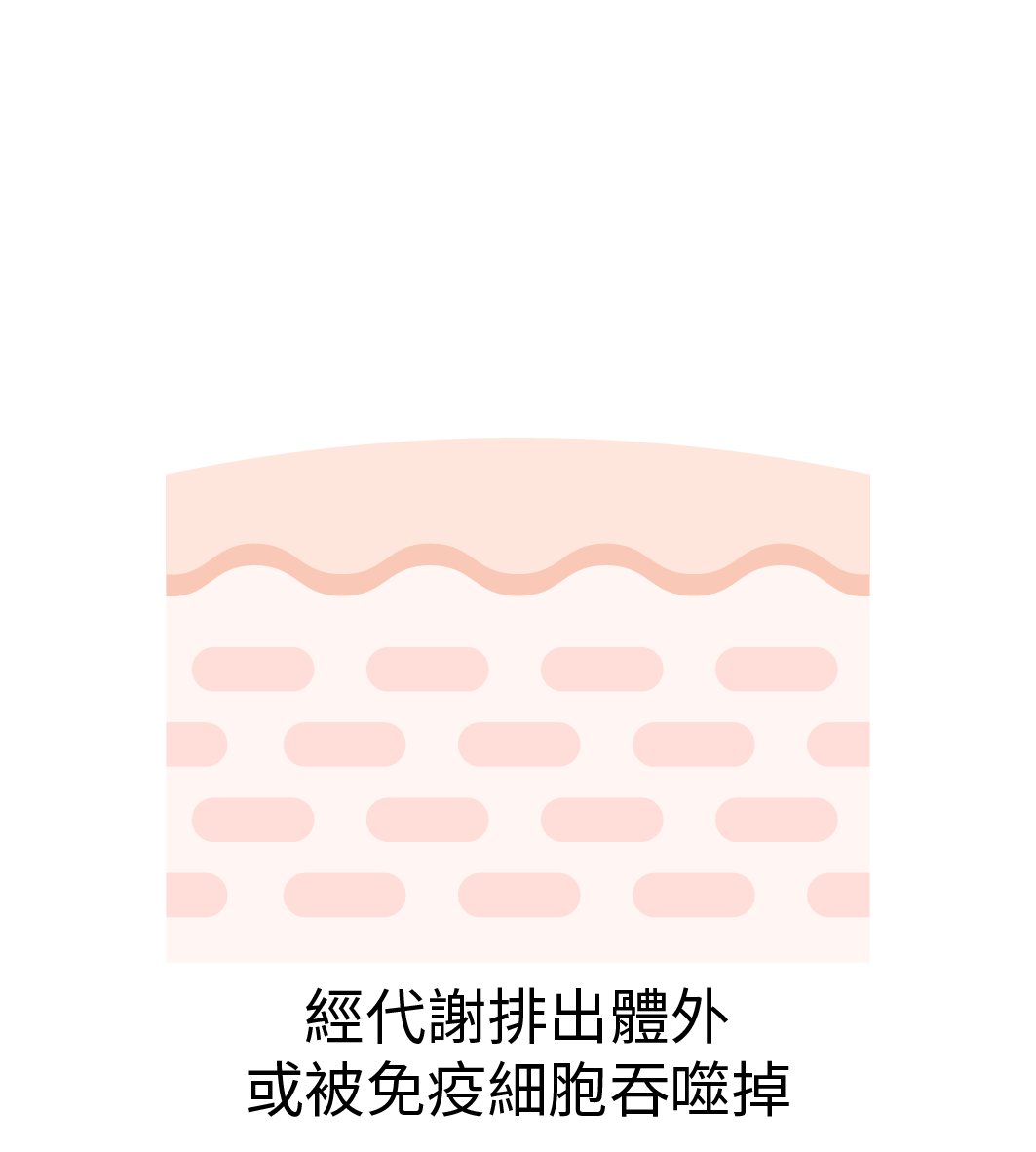 站用圖 79