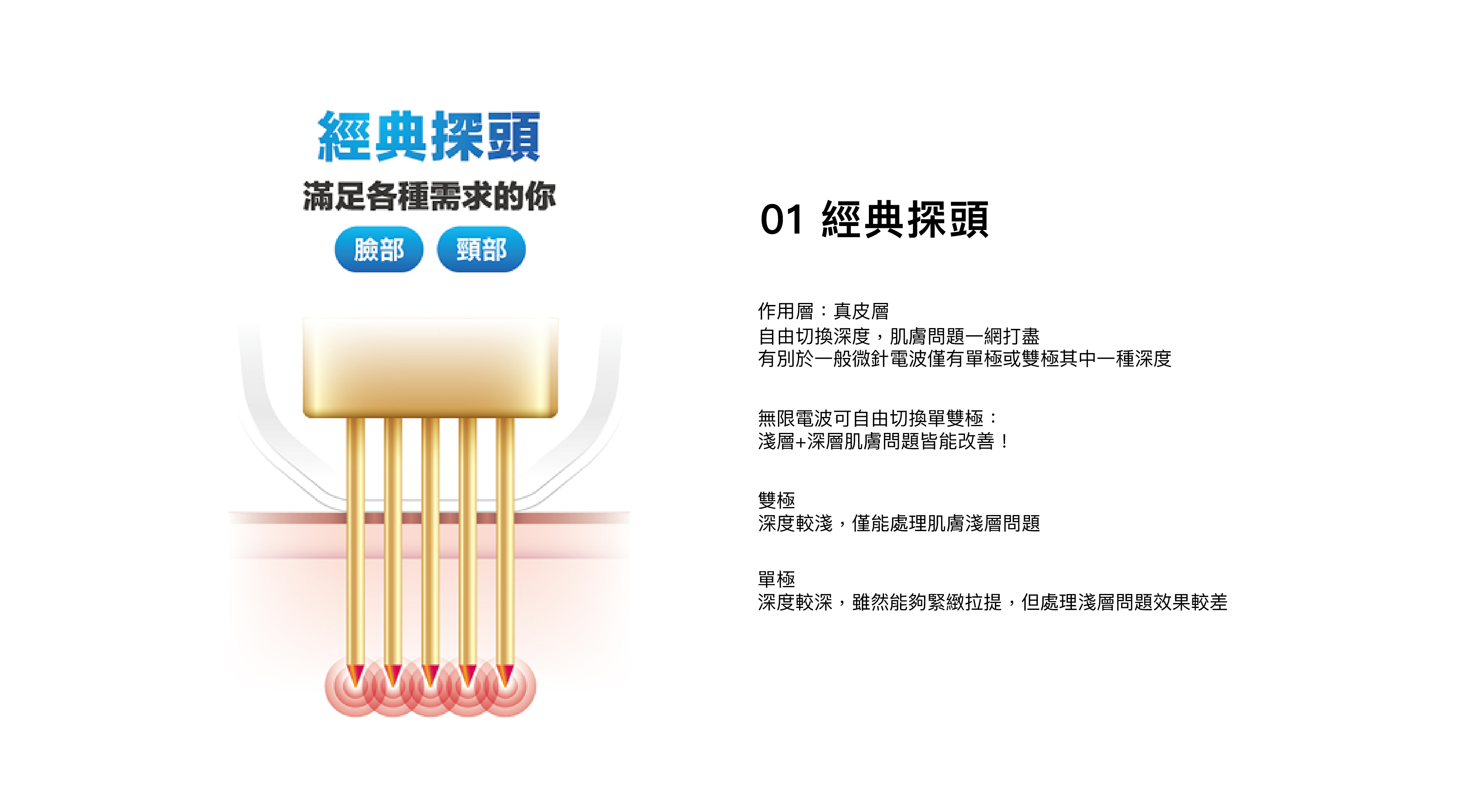 經典探頭