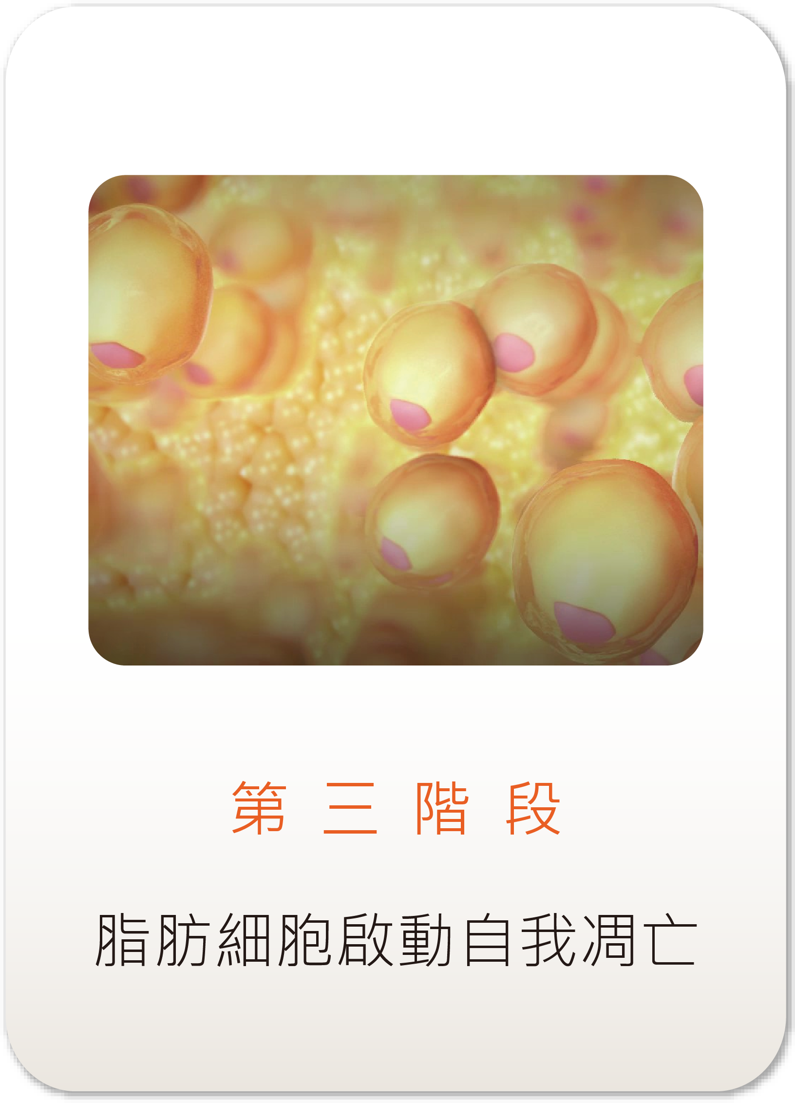 第三階段