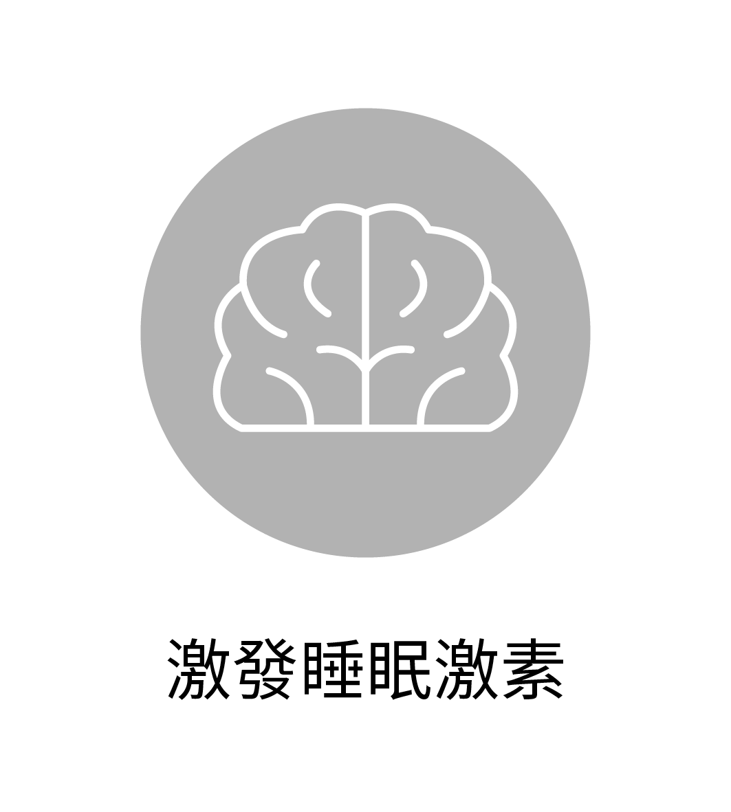 網站用圖 114