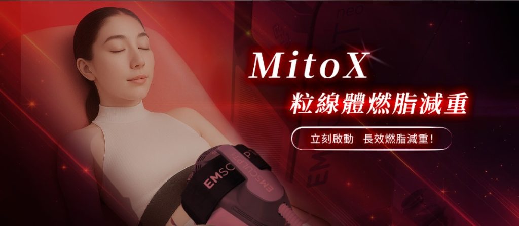 為什麼你瘦不下來?真正卡關的,是粒線體 2 螢幕擷取畫面 2025 06 04 154357