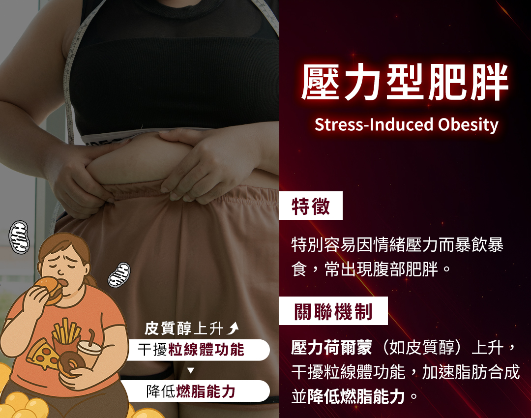 壓力型肥胖