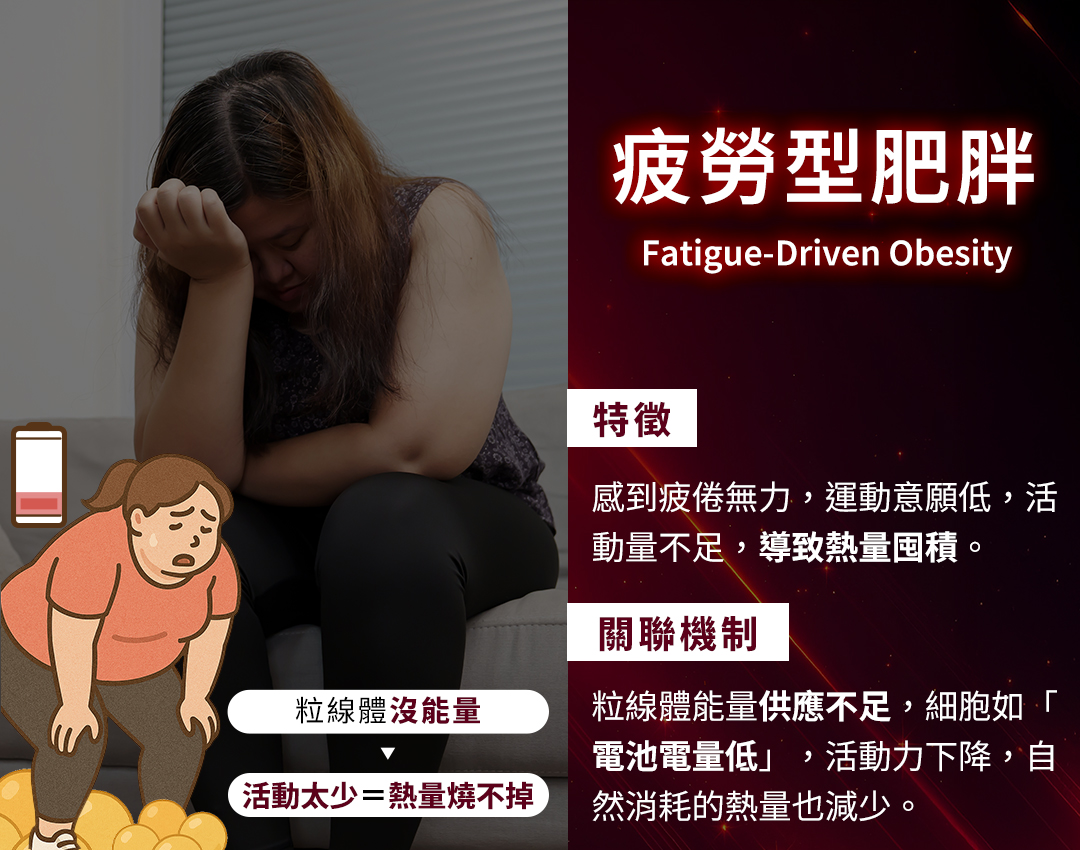 疲勞型肥胖