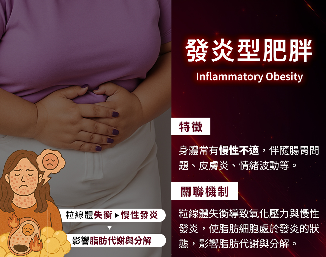 發炎型肥胖