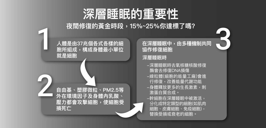 深層睡眠的重要性