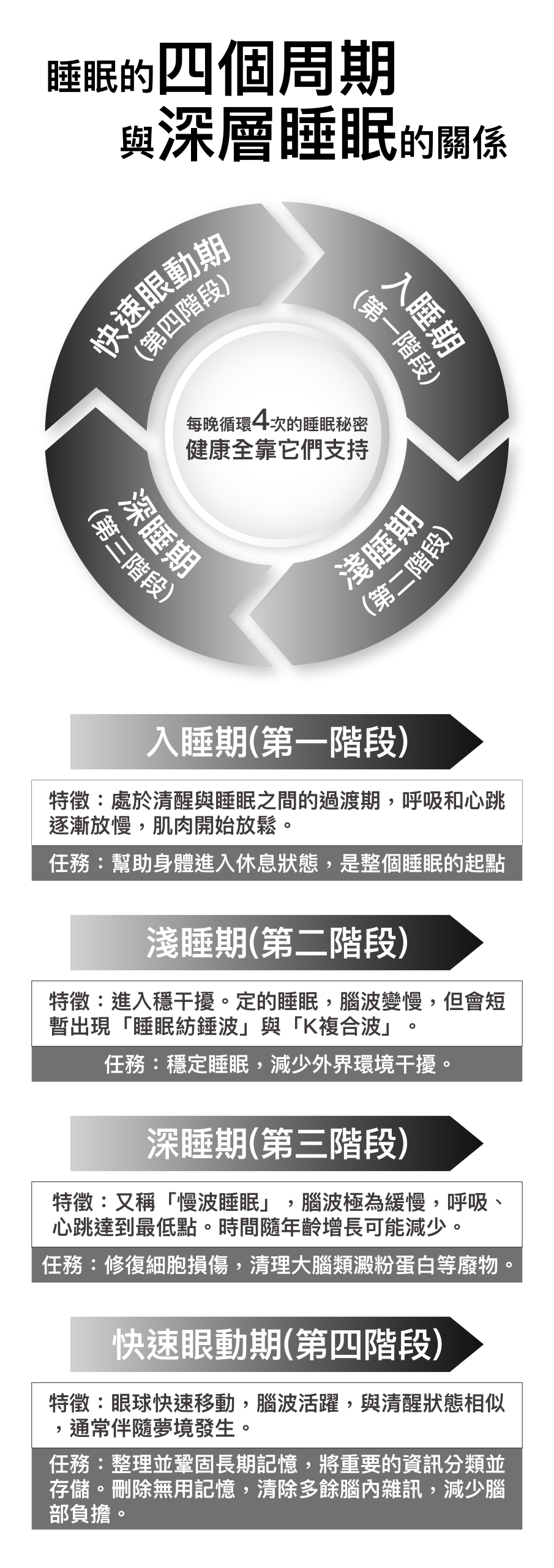 睡眠的四個週期與深層睡眠的關係