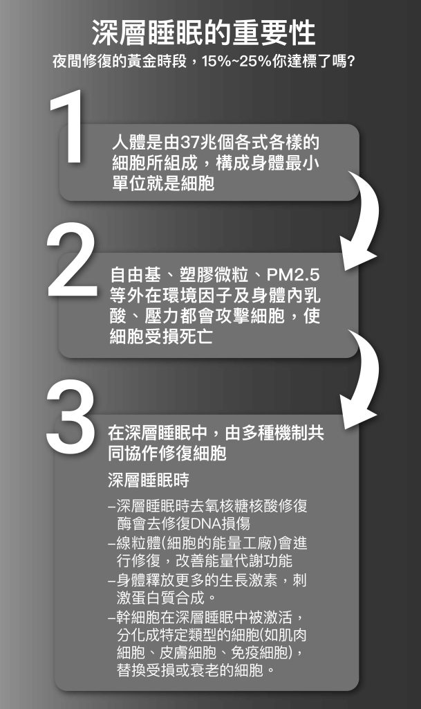 深層睡眠的重要性