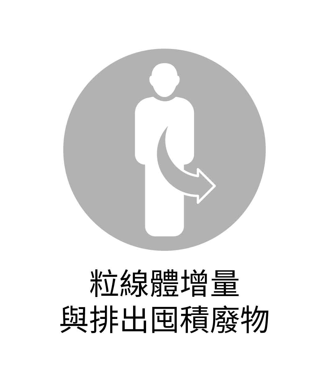 粒線體增量與排出囤積廢物