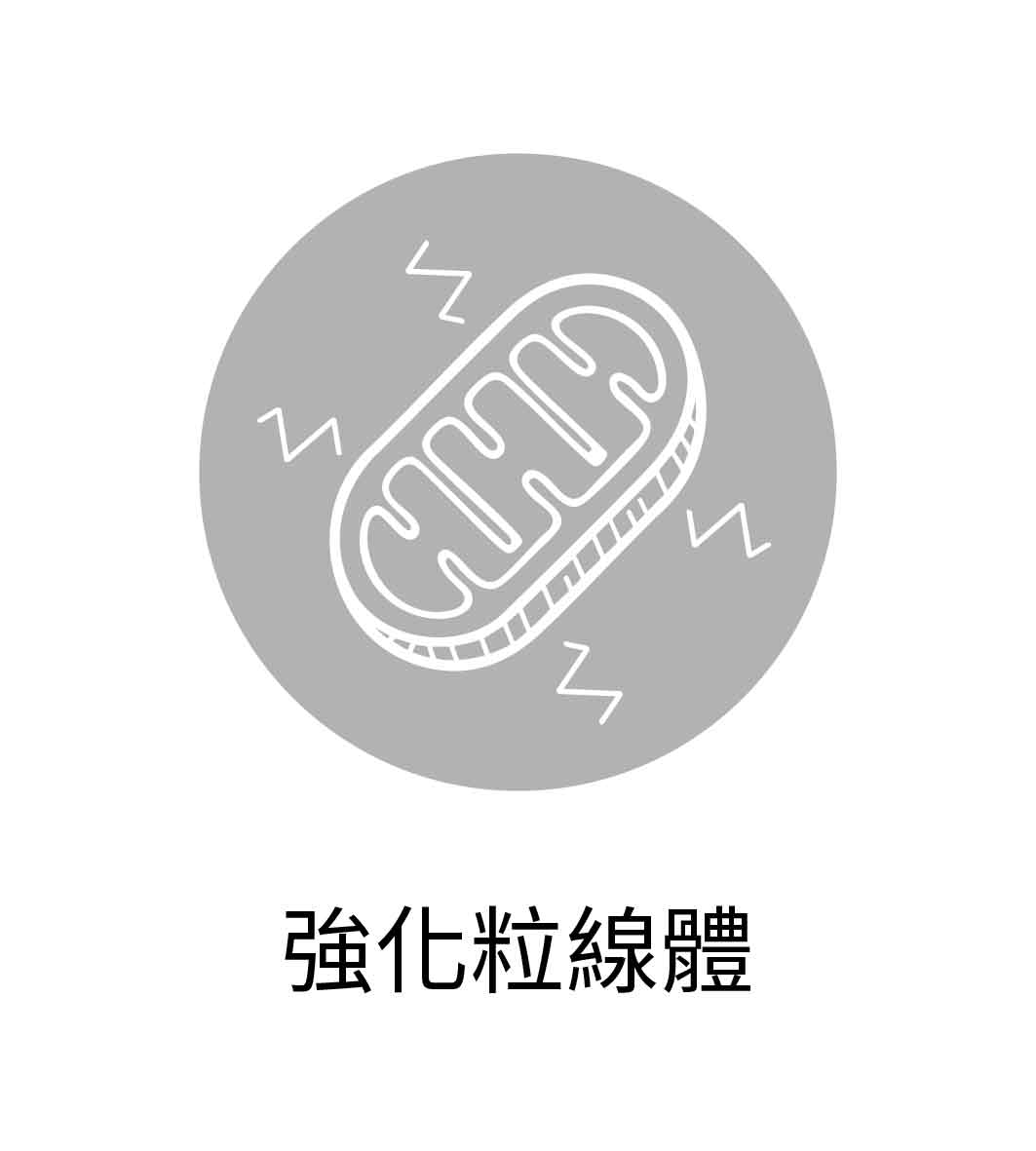 強化粒線體
