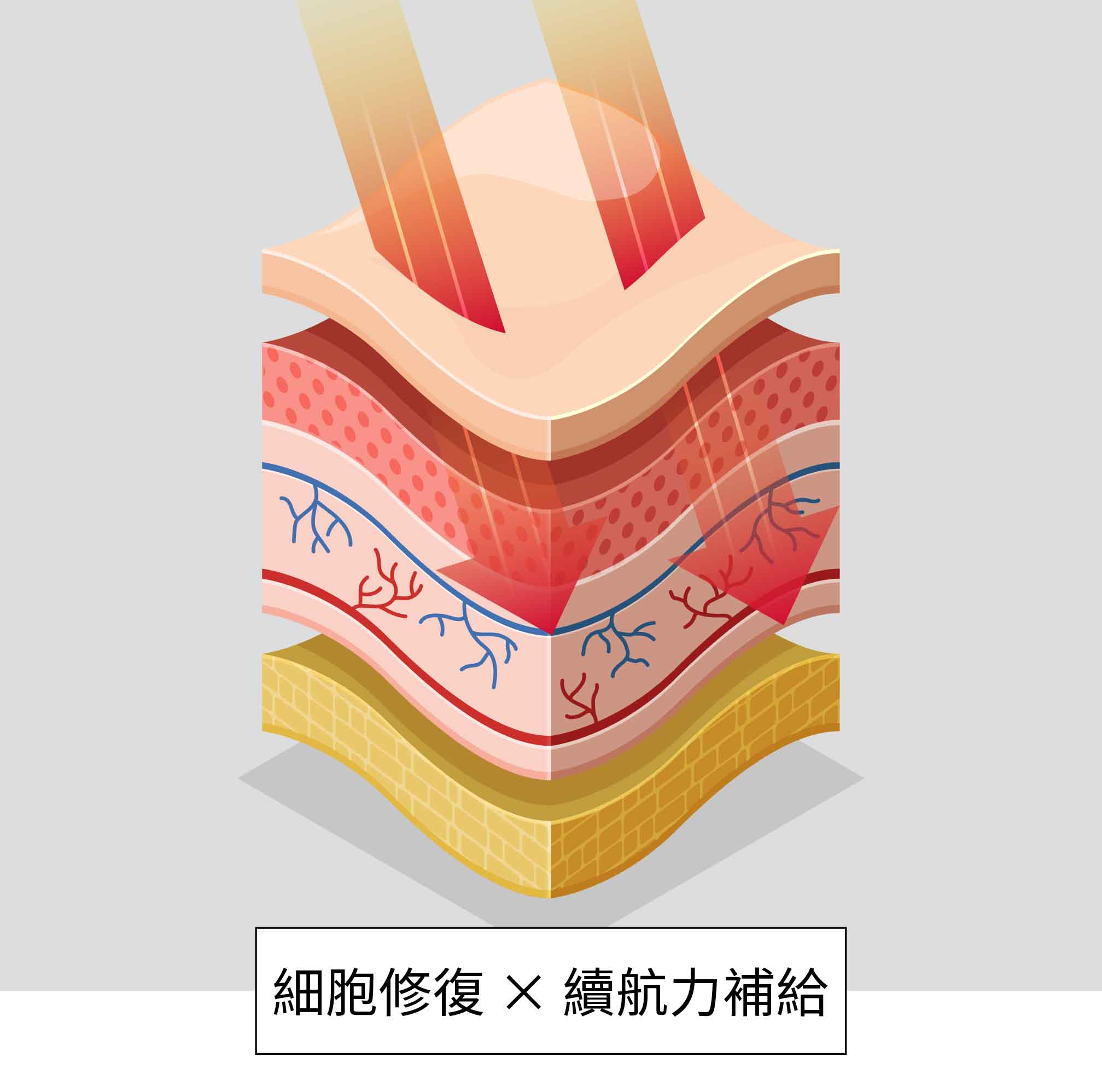 網站用圖 185