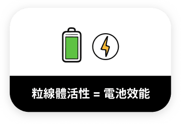 粒線體活性等於電池效能示意圖-優化細胞能量轉換效率與改善代謝