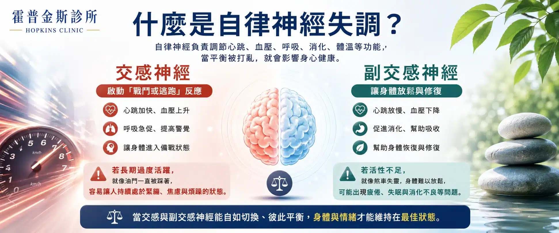 自律神經失調衛教圖，說明交感神經與副交感神經的功能差異。左側以油門意象代表交感神經過度活躍，可能造成心跳加快、血壓上升、呼吸急促與緊繃焦慮；右側以放鬆意象代表副交感神經，說明其有助於心跳放慢、消化吸收與身體修復，並強調兩者平衡對身心健康的重要性。
