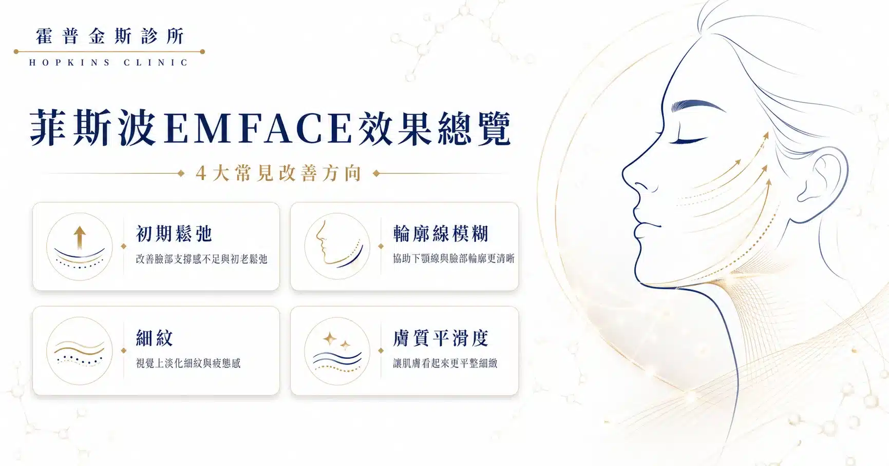 菲斯波EMFACE效果與適合改善的臉部問題總覽