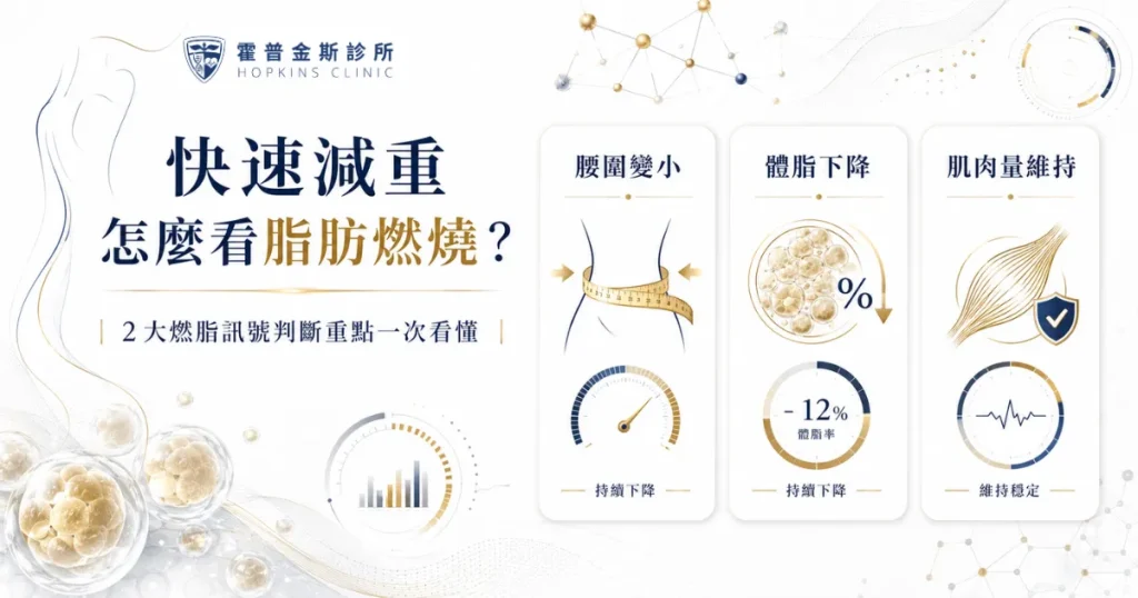 快速減重怎麼看脂肪燃燒？醫學資訊圖整理腰圍變小、體脂下降、肌肉量維持等燃脂訊號判斷重點。