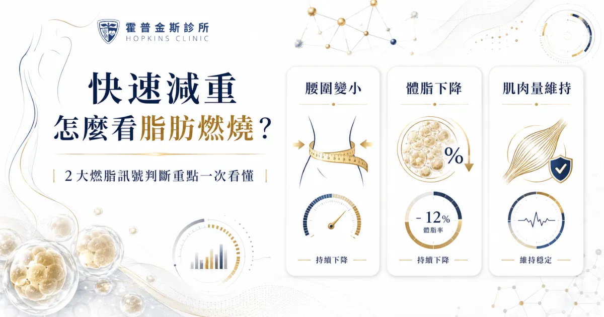 快速減重怎麼看脂肪燃燒?12大燃脂訊號判斷重點一次看懂 1 快速減重怎麼看脂肪燃燒?醫學資訊圖整理腰圍變小、體脂下降、肌肉量維持等燃脂訊號判斷重點。