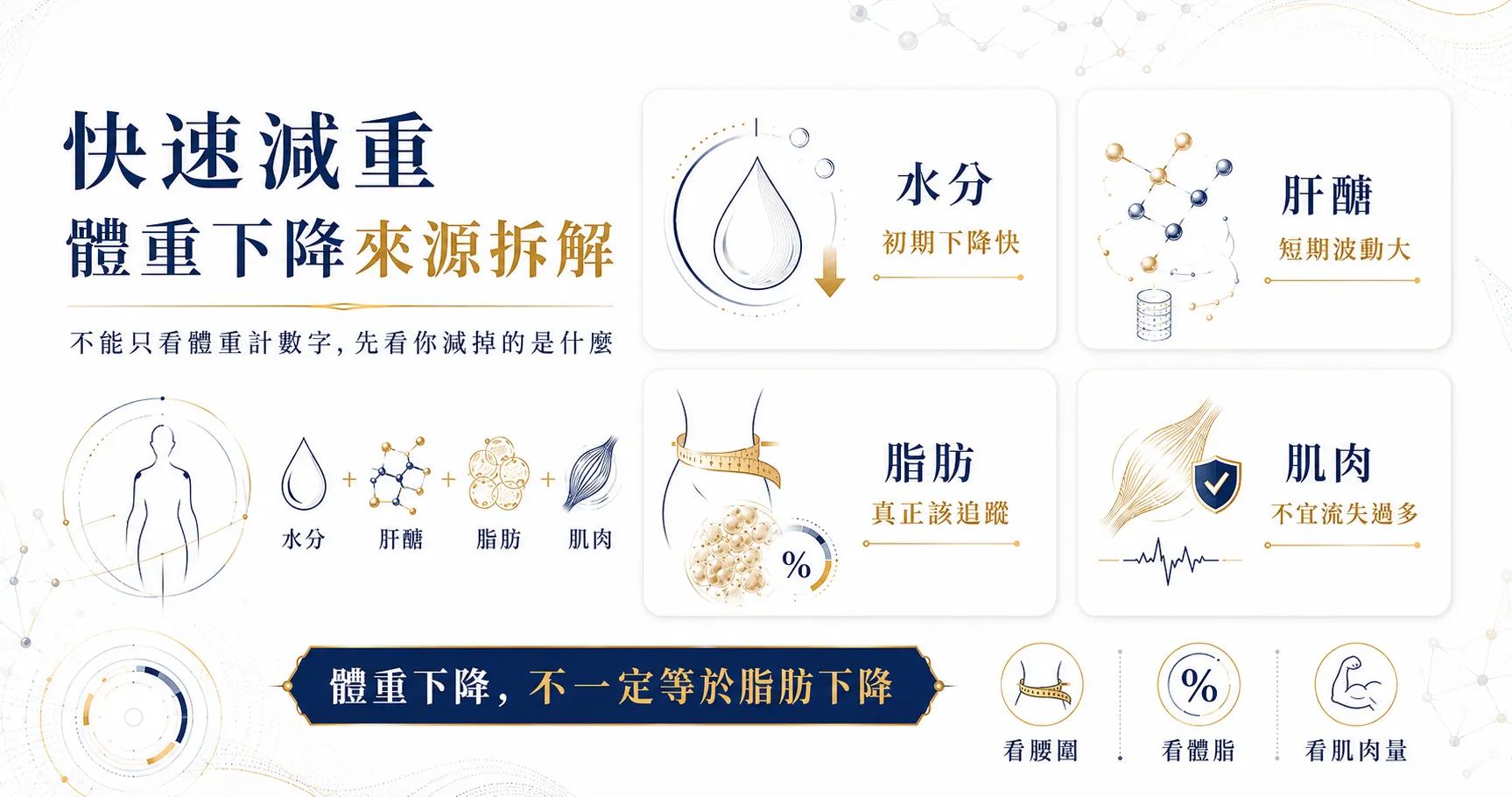 快速減重怎麼看脂肪燃燒?12大燃脂訊號判斷重點一次看懂 2 快速減重不等於脂肪燃燒,體重下降來源拆解圖