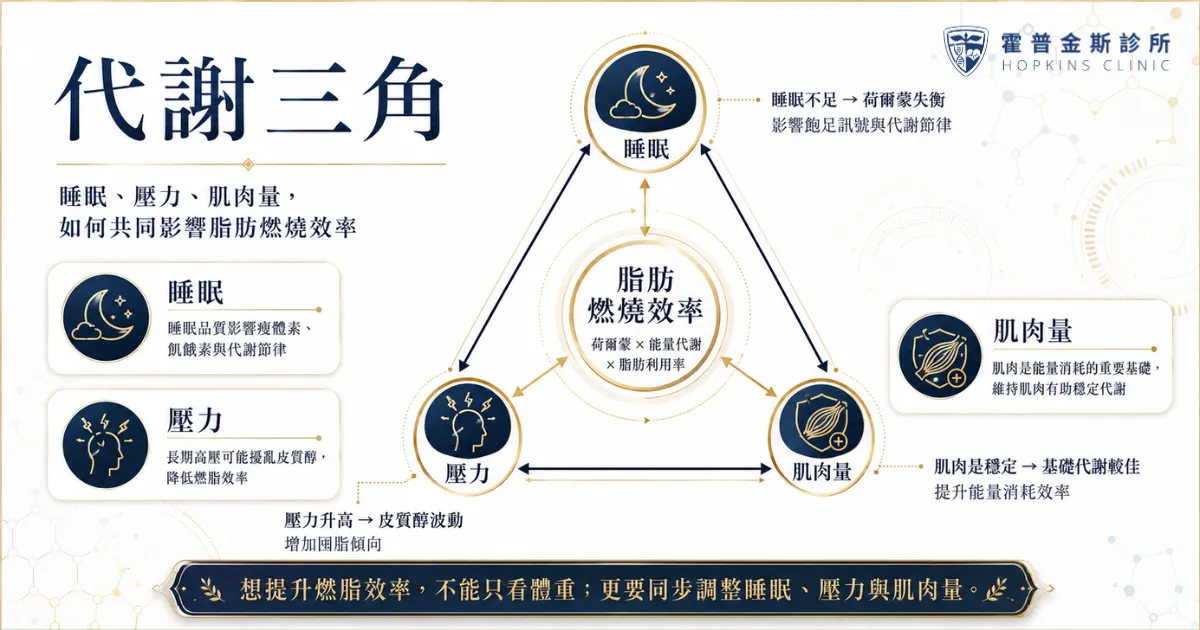 快速減重怎麼看脂肪燃燒?12大燃脂訊號判斷重點一次看懂 5 睡眠壓力與肌肉量如何影響快速減重與燃脂效率