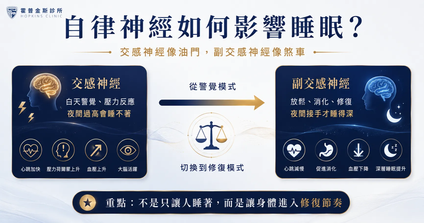 自律神經如何影響睡眠，交感神經與副交感神經影響睡眠修復示意圖