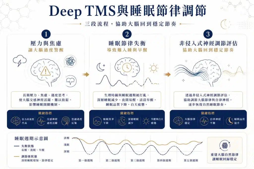Deep TMS 睡眠節律與自律神經調節示意圖