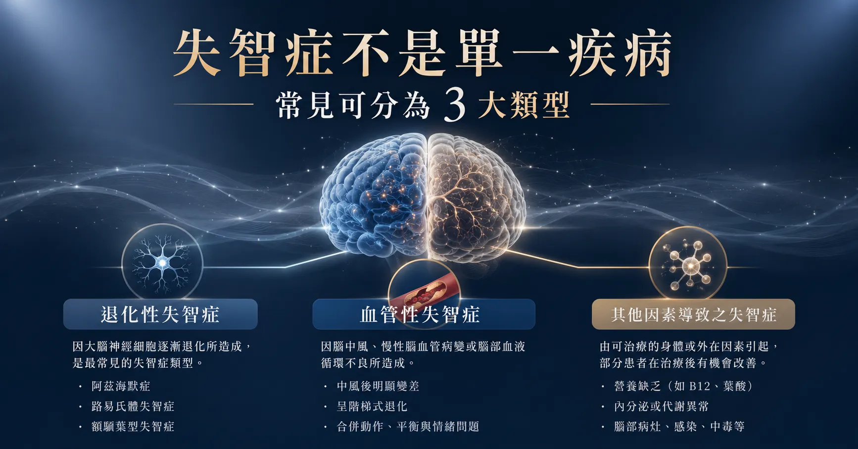 失智症可分為退化性失智症、血管性失智症與其他身體因素導致的失智症狀。