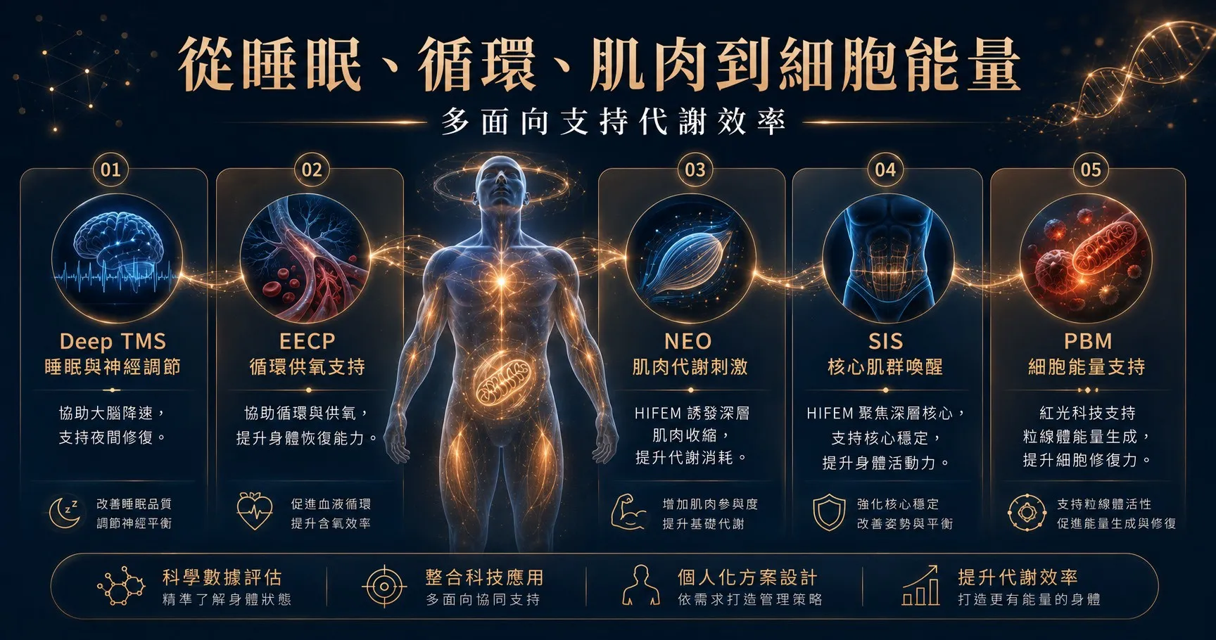 霍普金斯診所整合 Deep TMS、EECP、NEO、SIS 與 PBM，從睡眠、循環、肌肉與細胞能量多面向支持代謝管理。