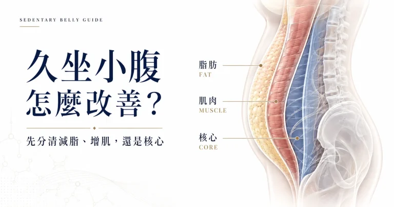 久坐小腹改善評估示意圖，比較減脂、增肌與核心訓練三種不同方向