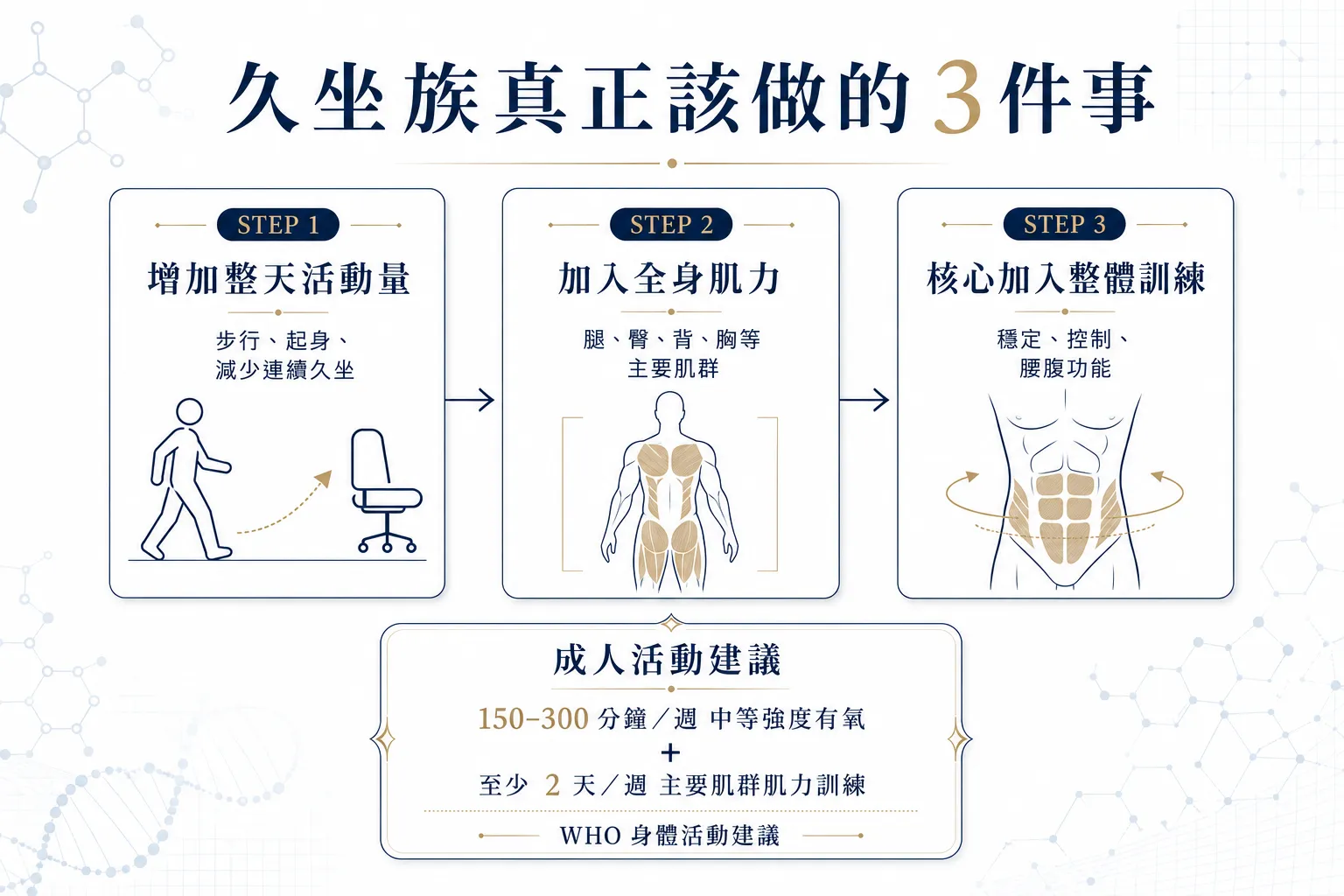 久坐小腹怎麼改善?2026減脂、增肌、核心訓練先後順序一次看懂 5 久坐族增肌減脂三步驟,包括增加日常活動量、全身肌力訓練與核心訓練