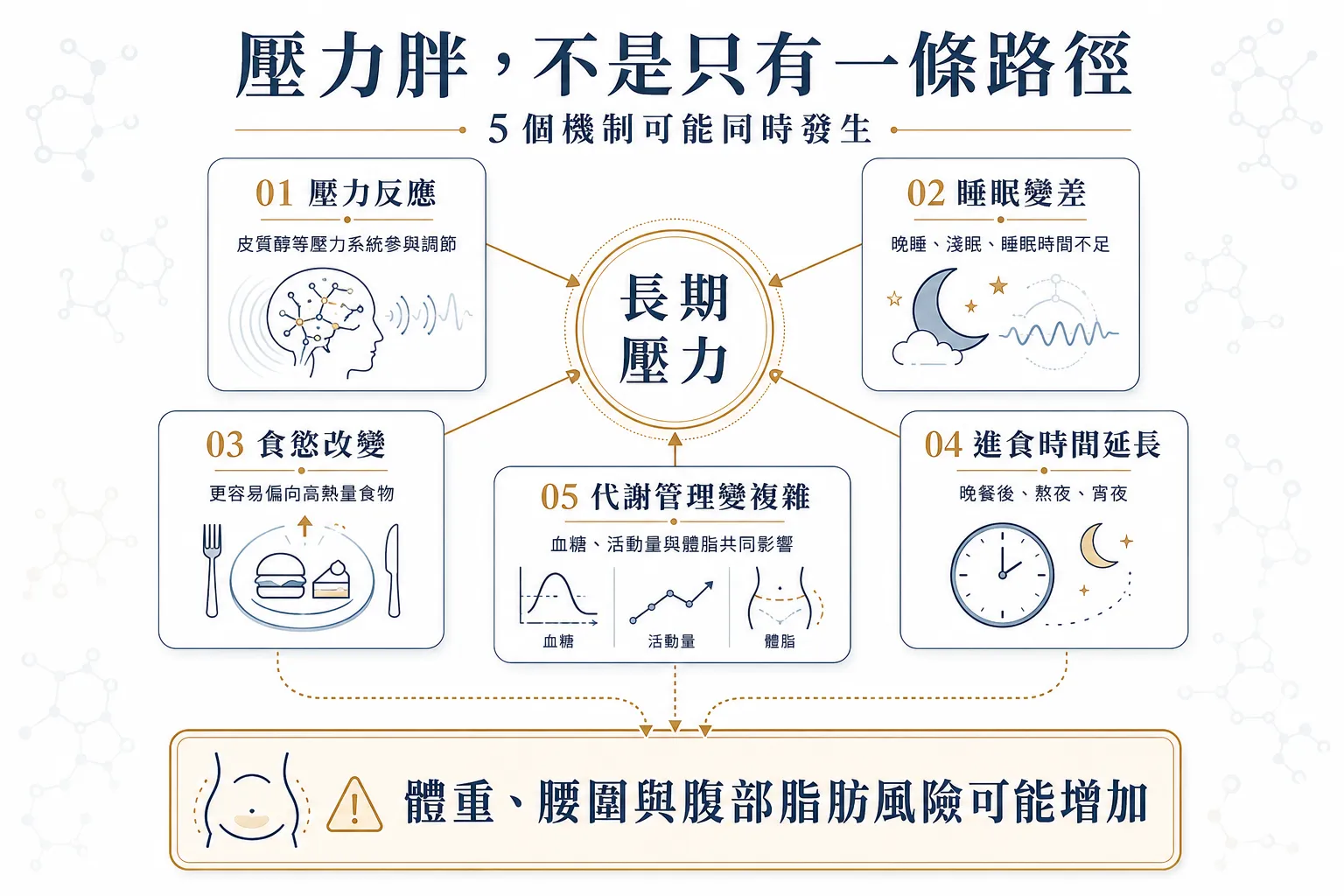 壓力胖五大可能機制，包括壓力反應、睡眠不足、食慾改變、晚間進食與代謝因素