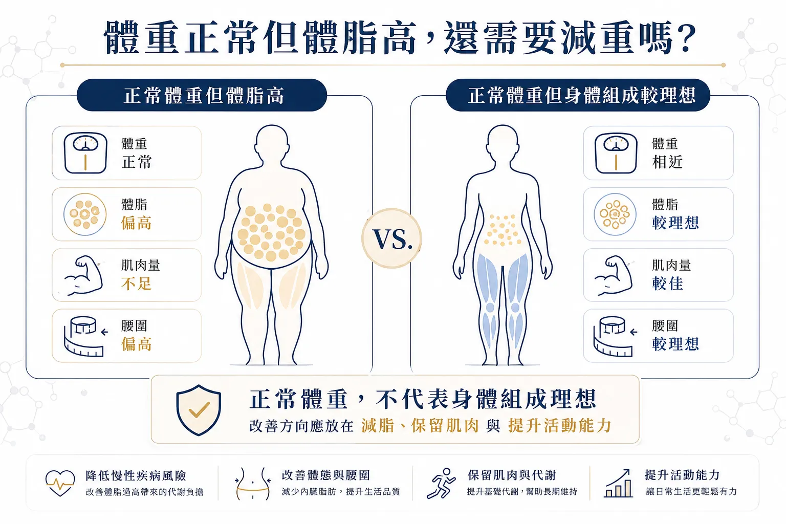減重怎麼開始?2026 體脂、內臟脂肪與基礎代謝 7 大評估指南 4 正常體重但體脂偏高與理想身體組成的對比醫學圖解
