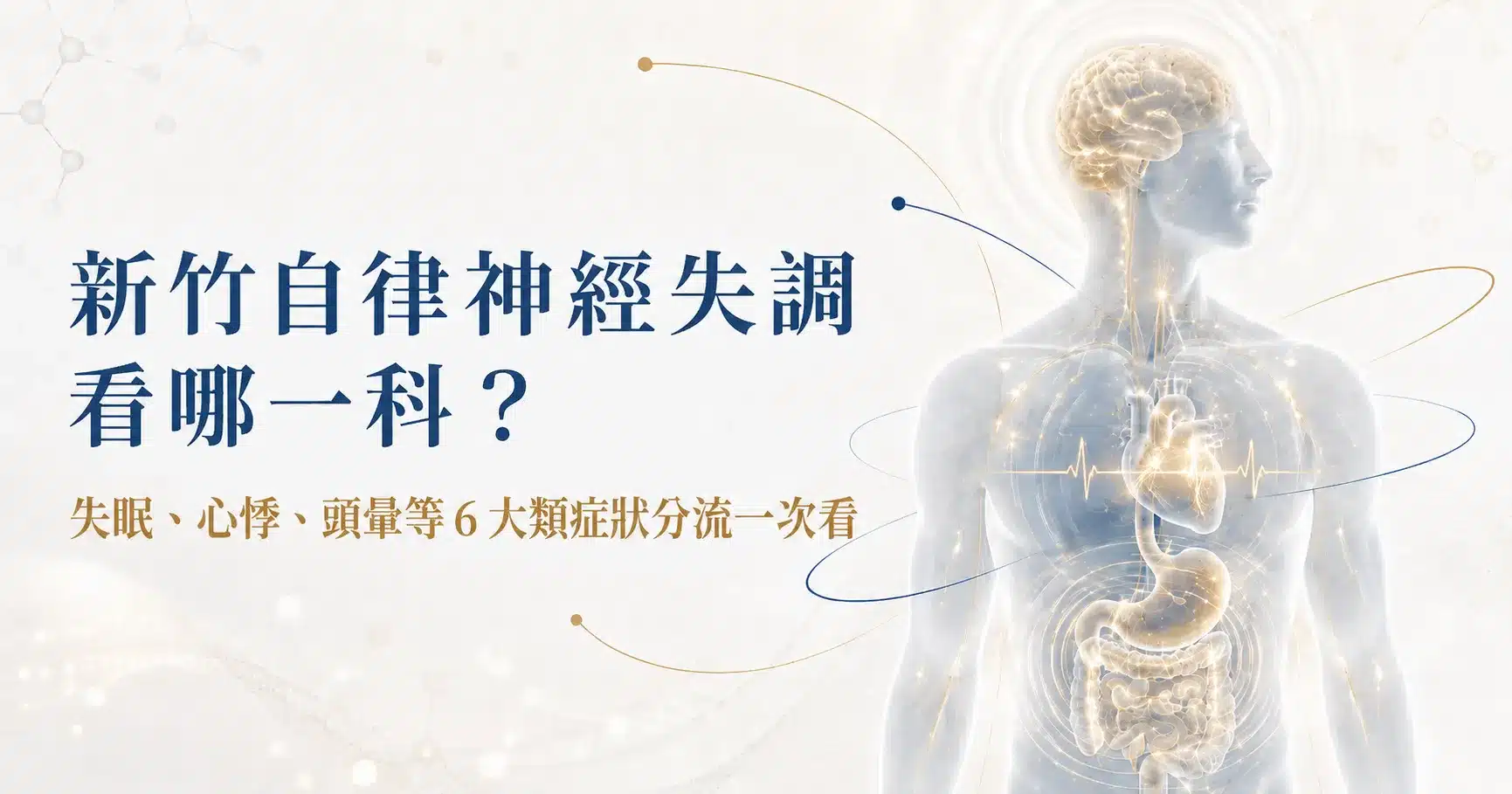新竹自律神經失調看哪一科?失眠、心悸、頭暈等 6 大類症狀分流一次看 1 新竹自律神經失調看哪一科圖解,依失眠、心悸、頭暈與腸胃不適選擇科別