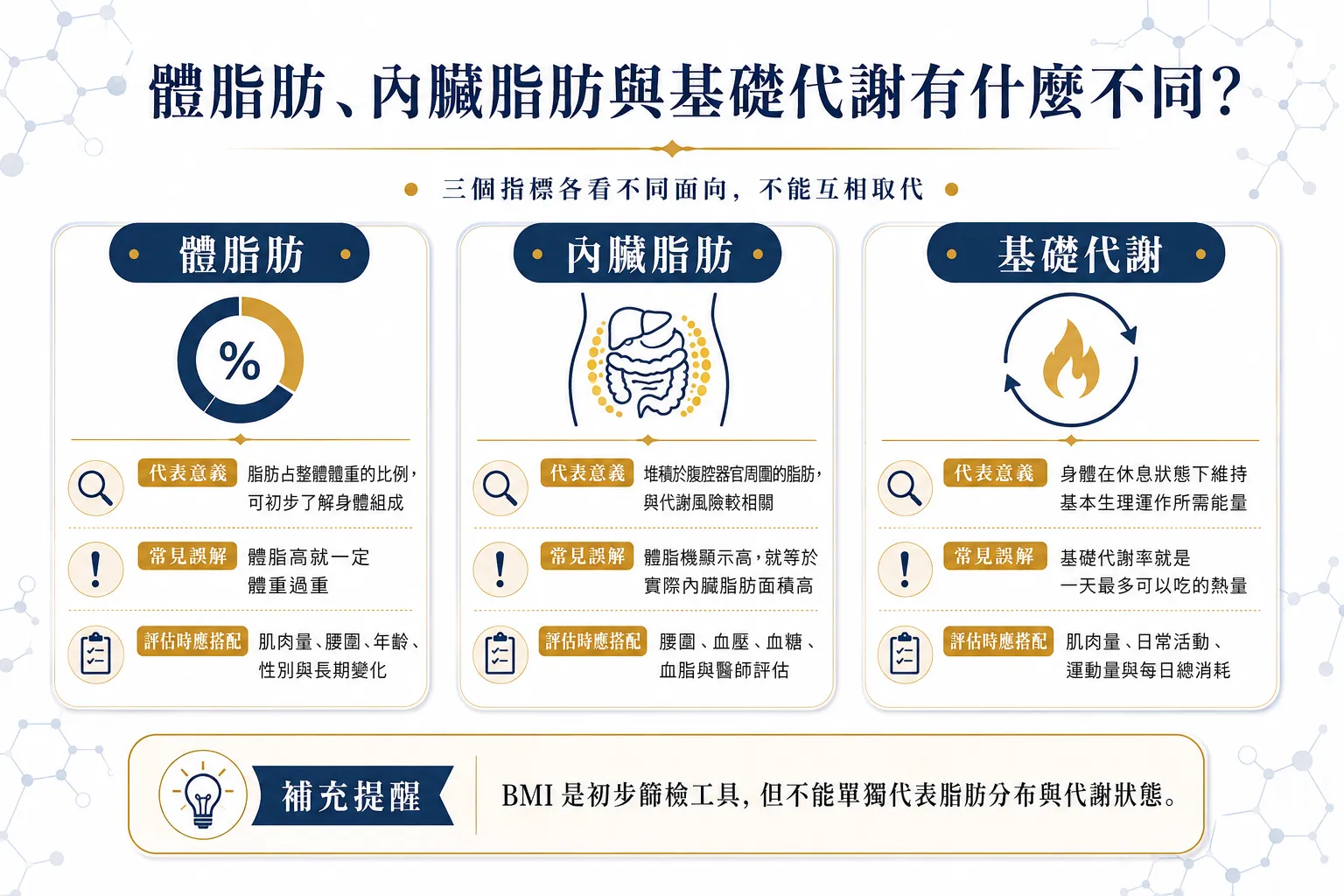 減重怎麼開始?2026 體脂、內臟脂肪與基礎代謝 7 大評估指南 3 比較體脂肪、內臟脂肪與基礎代謝差異的醫學資訊圖