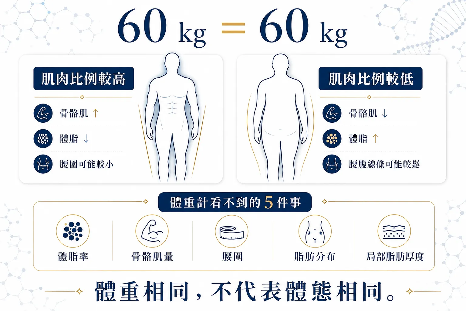 久坐小腹怎麼改善?2026減脂、增肌、核心訓練先後順序一次看懂 6 相同體重但不同體脂率與骨骼肌量的身體組成比較圖