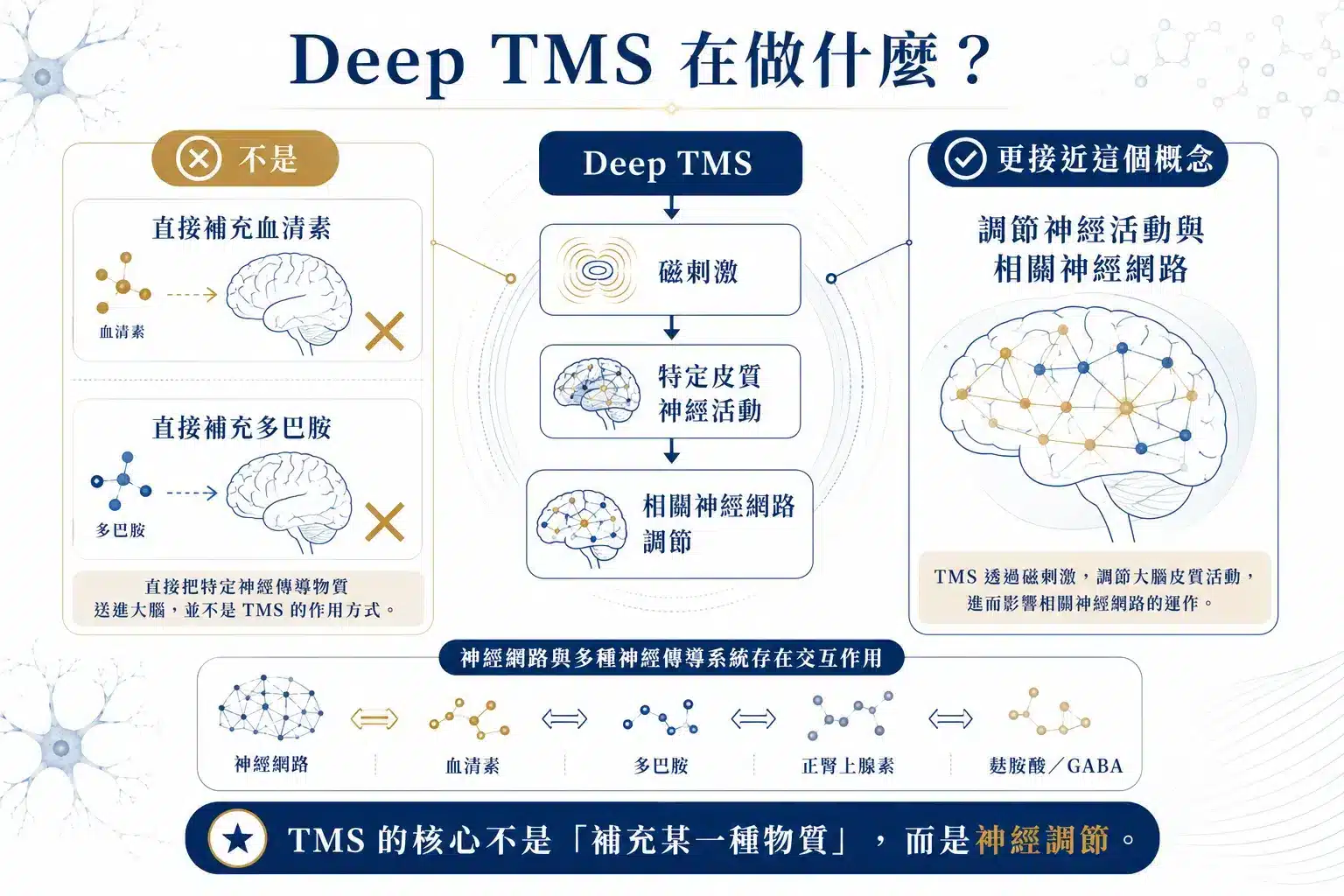 難治型憂鬱症怎麼辦?從大腦神經、自律神經、睡眠修復到 Deep TMS 完整解析 6 Deep TMS 透過磁刺激調節大腦神經活動與神經網路而非直接補充血清素圖解
