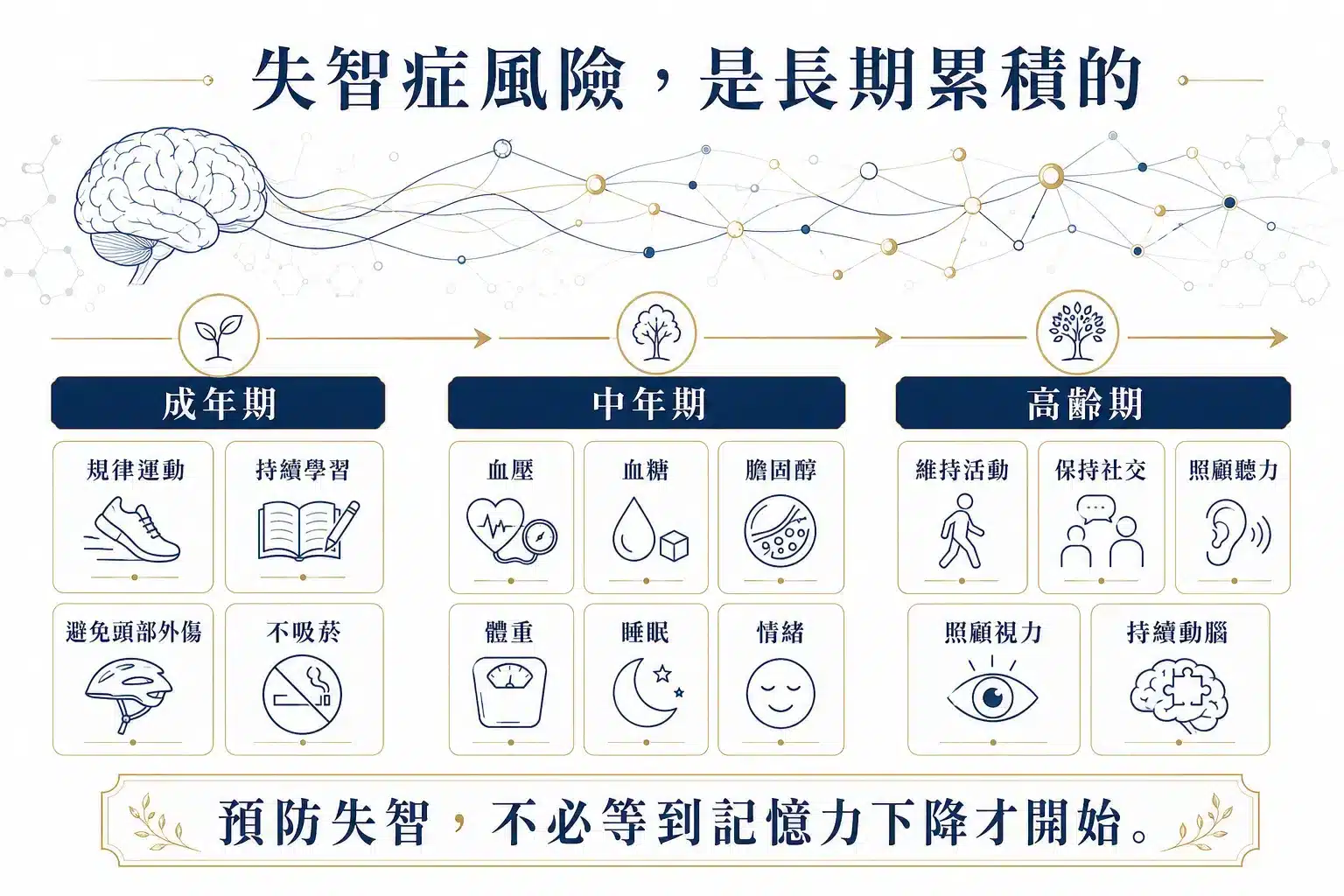 如何預防失智症?生活中這10件事最重要,延緩失智不是難事! 2 失智症風險會從成年中年到高齡逐步累積的生命歷程圖