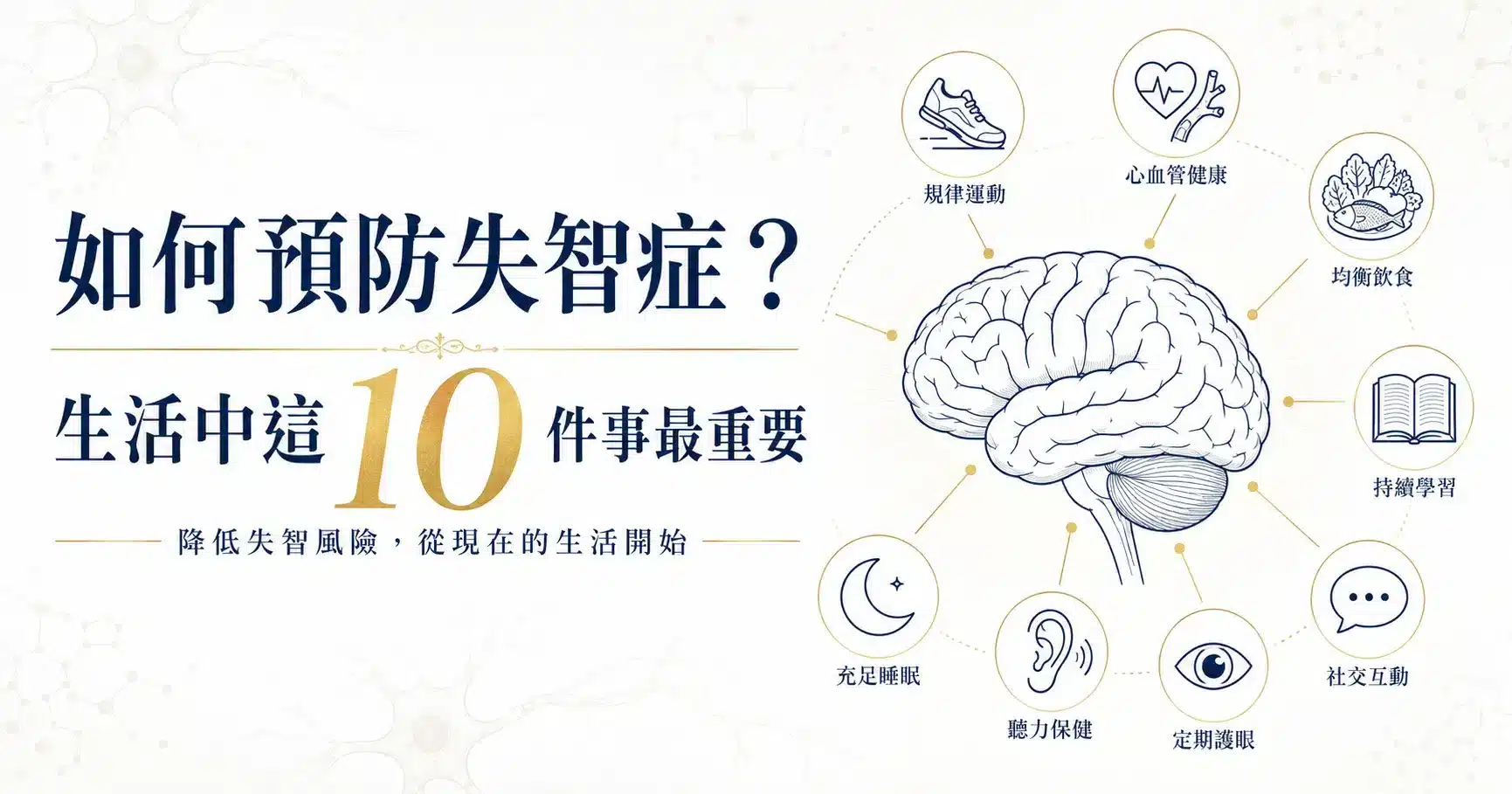 如何預防失智症?生活中這10件事最重要,延緩失智不是難事! 1 如何預防失智症,生活中10項降低失智風險的重要習慣