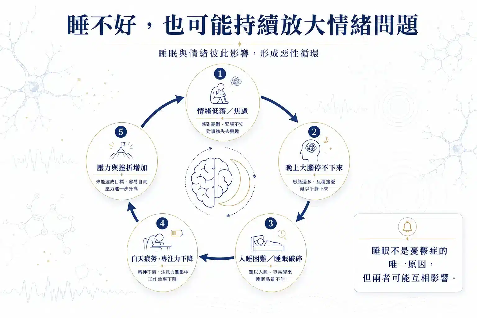 難治型憂鬱症怎麼辦?從大腦神經、自律神經、睡眠修復到 Deep TMS 完整解析 4 憂鬱症、焦慮、睡眠破碎、白天疲勞與壓力形成雙向惡性循環圖
