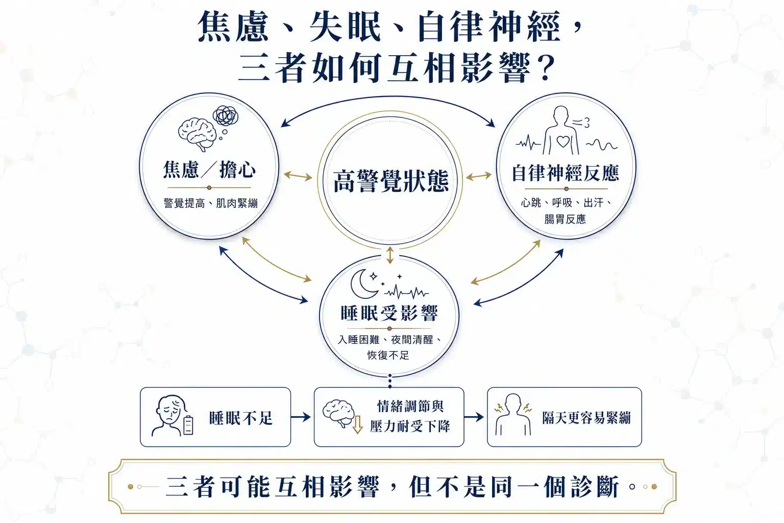竹北焦慮症看哪一科?2026焦慮失眠、心悸與自律神經7大判斷指南 4 焦慮、失眠與自律神經反應可能互相影響的關係圖