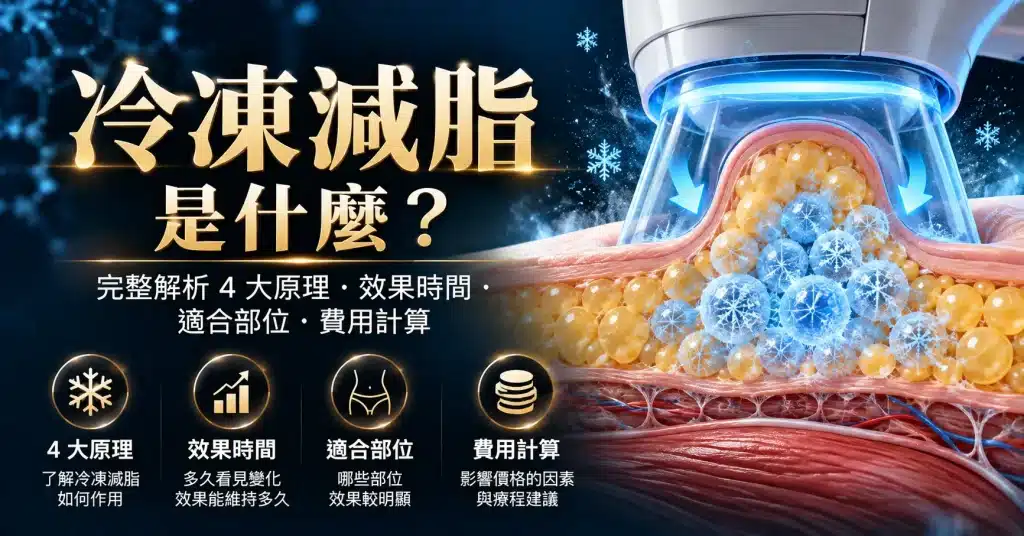 冷凍減脂是什麼？透過低溫技術作用於皮下脂肪的醫學示意圖，介紹冷凍減脂4大原理、效果時間、適合部位與費用計算。