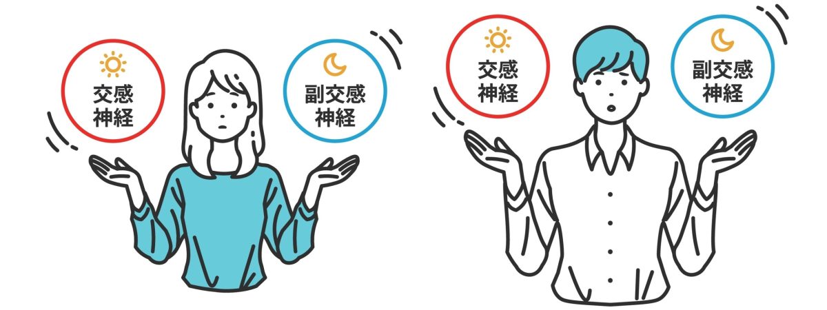 自律神經中交感神經與副交感神經的平衡示意圖，呈現白天清醒與夜晚放鬆的調節狀態